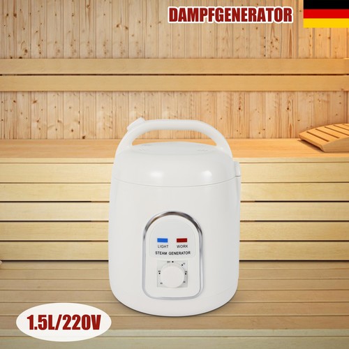 Generatore vapore 5 - generatore,