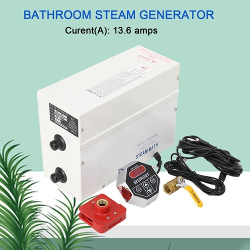 Generatore vapore 3kw 220v - vapore,